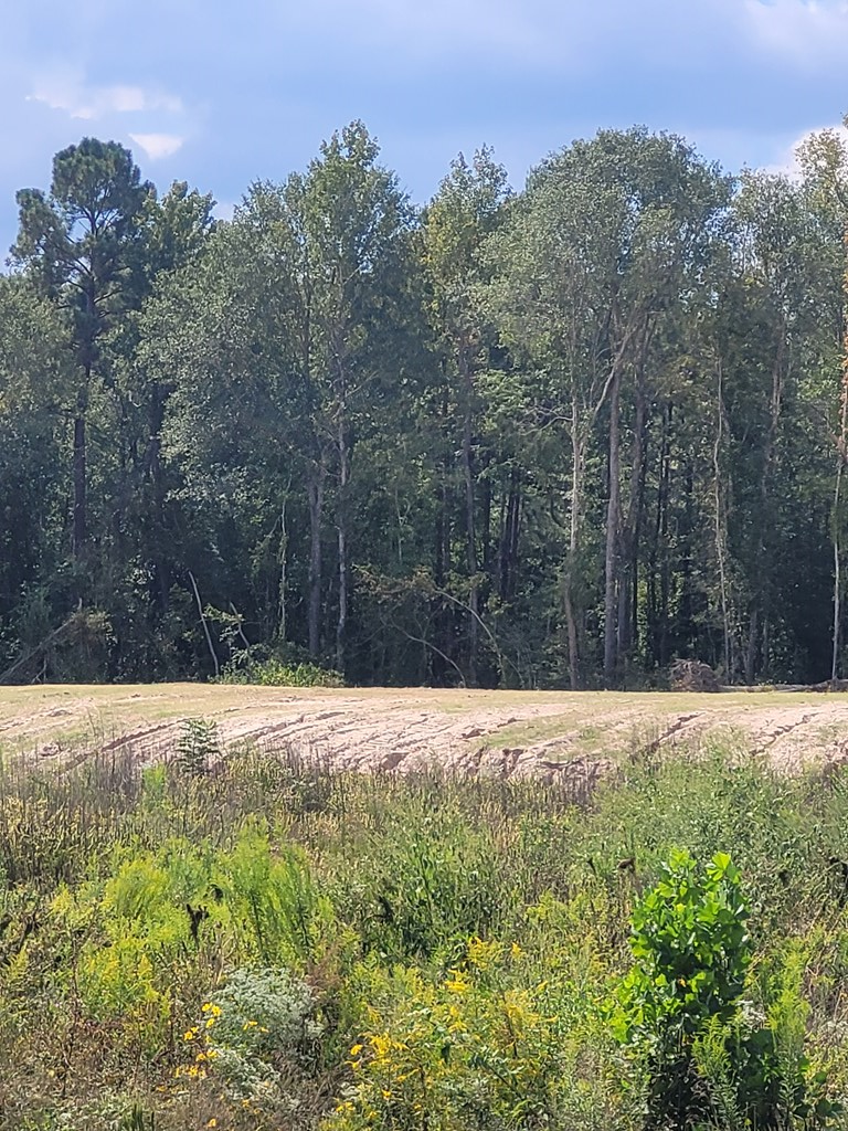 0 Highway 69 S, Lufkin, TX 75901 - Image #2