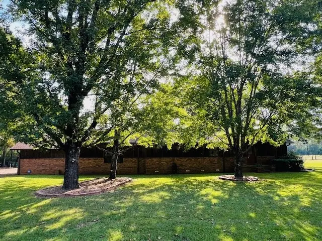 4000 Temple Road N, Pineland, TX 75968 - Image #2