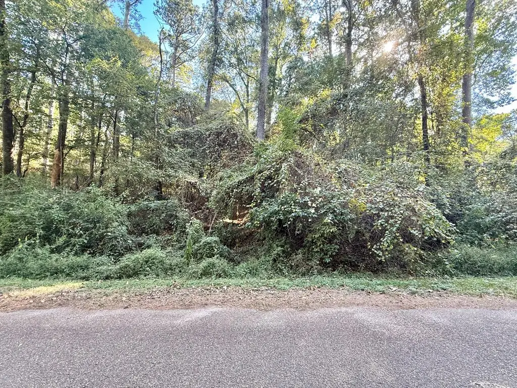 0 Commodore Drive, Hemphill, TX 75948 - Image #1