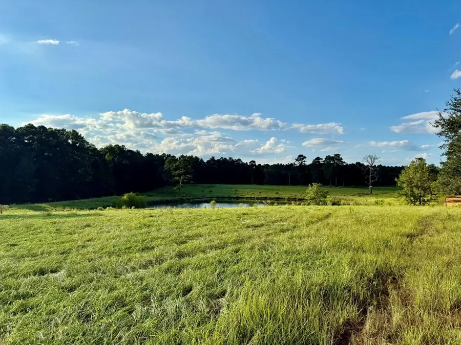 Lot 277 Lakeland Ranch, Hillister, TX 77624 - Image #2