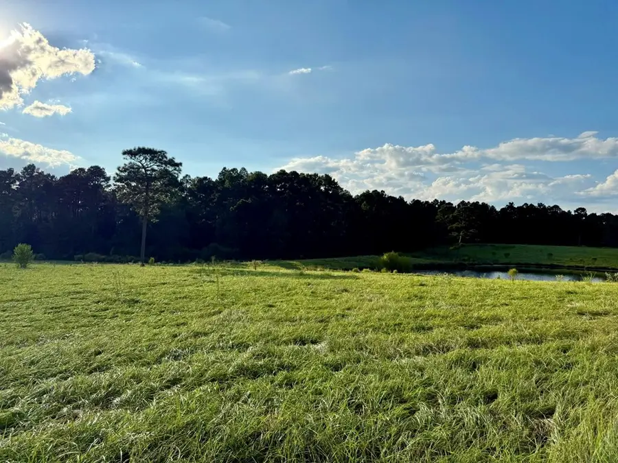 Lot 277 Lakeland Ranch, Hillister, TX 77624 - Image #3