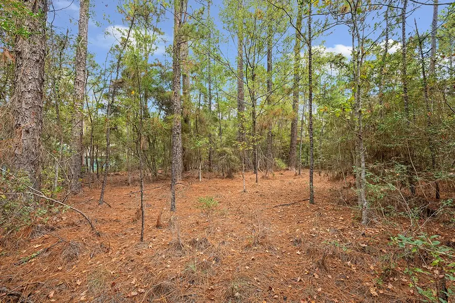 158 Dogwood Drive, Brookeland, TX 75931 - Image #2