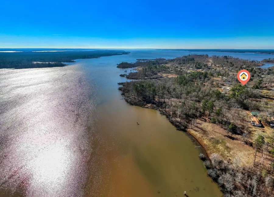 252 County Road 439 E, Bronson, TX 75930 - Image #3