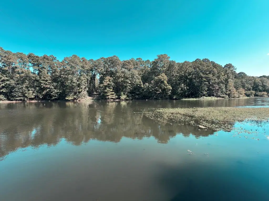 221 Winfree Dr, Hemphill, TX 75948 - Image #1