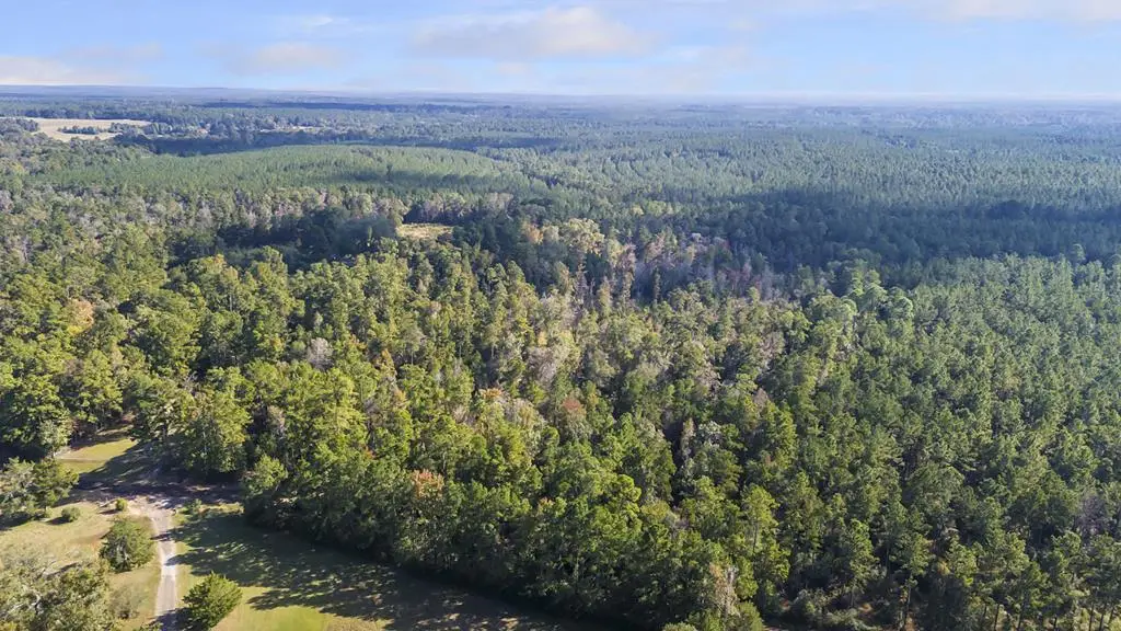 R38080 Sandy Creek Road, Zavalla, TX 75980 - Image #1