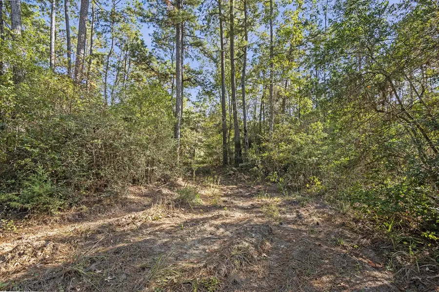 R38080 Sandy Creek Road, Zavalla, TX 75980 - Image #2