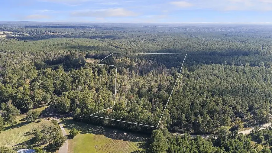 R38080 Sandy Creek Road, Zavalla, TX 75980 - Image #3