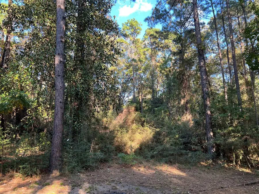 310 Roosevelt Street, Newton, TX 75966 - Image #3