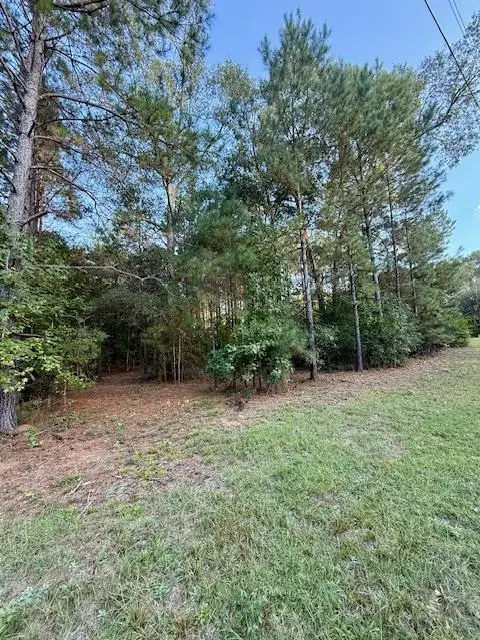 757 County Road 451, Kirbyville, TX 75956 - Image #2