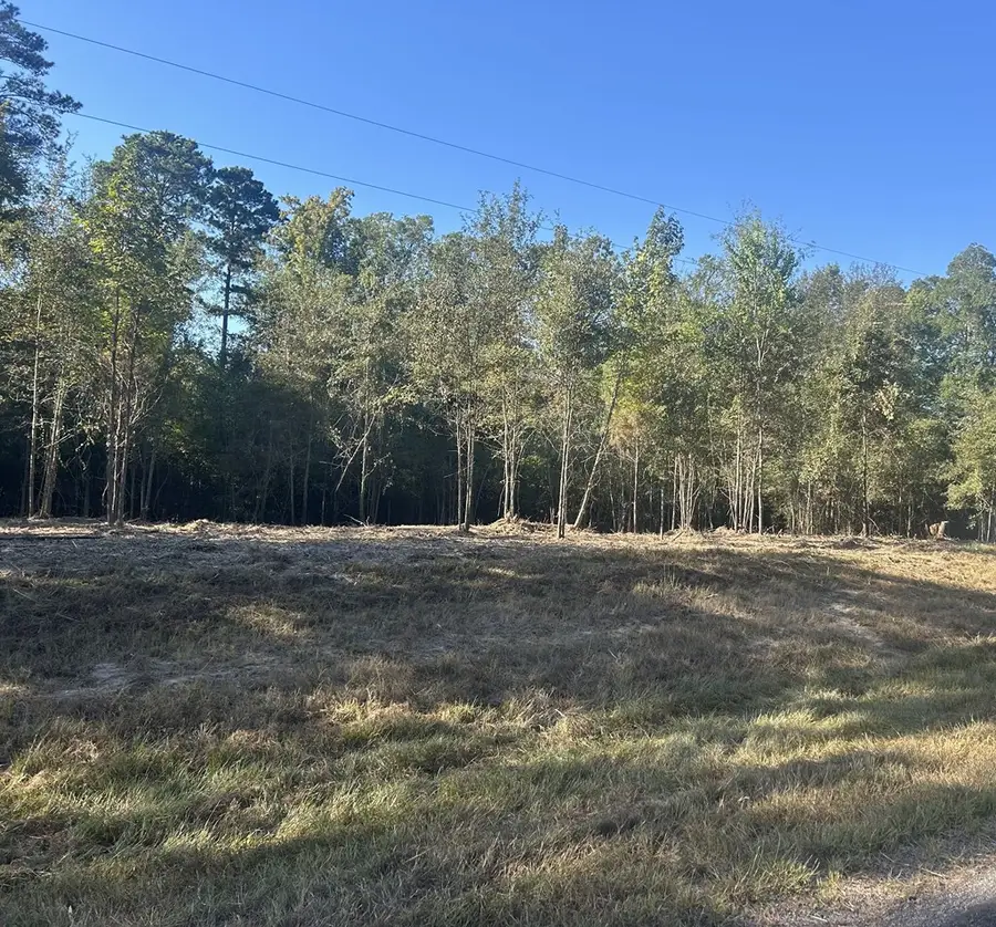 23305 Fm 2851, Broaddus, TX 75929 - Image #2