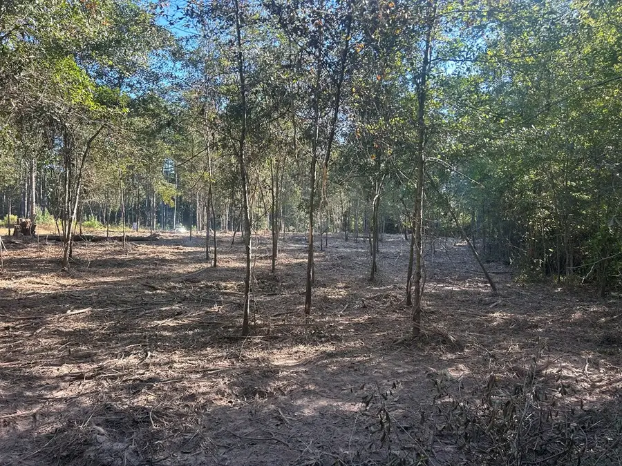 23305 Fm 2851, Broaddus, TX 75929 - Image #3