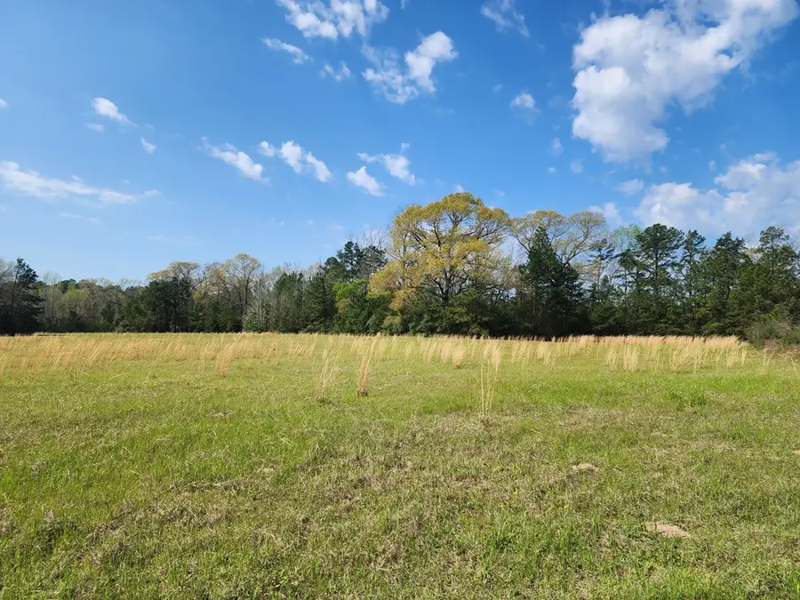 431 Cr 3630, Colmesneil, TX 74904 - Image #3