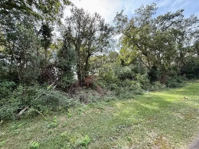 915 E Court Street, Newton, TX 75966 - Image #2