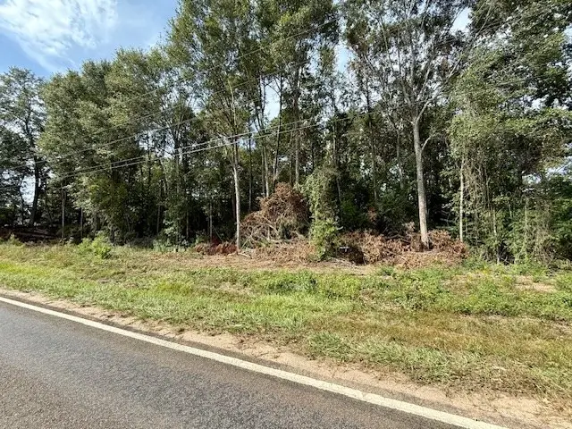 915 E Court Street, Newton, TX 75966 - Image #3