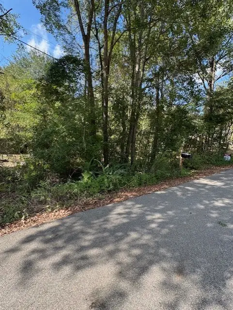 113 Arizona Avenue, Huntington, TX 75949 - Image #2