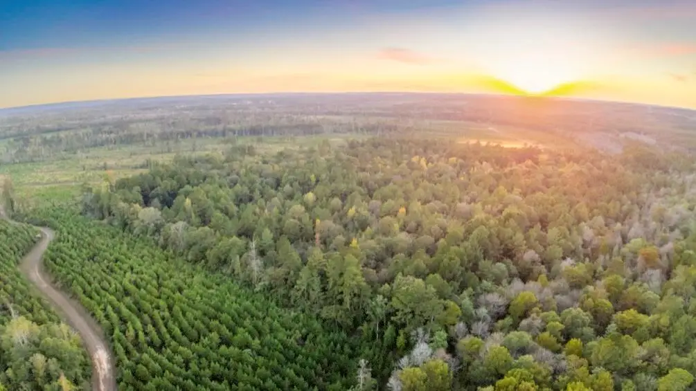 1070 Cr 2133, Burkeville, TX 75932 - Image #1