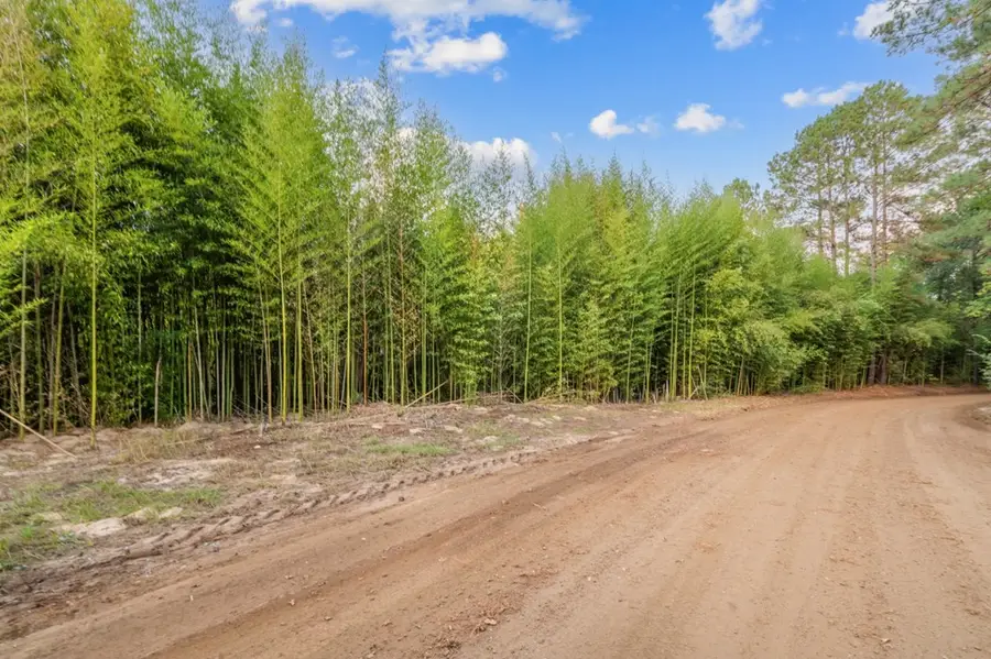 1070 Cr 2133, Burkeville, TX 75932 - Image #3