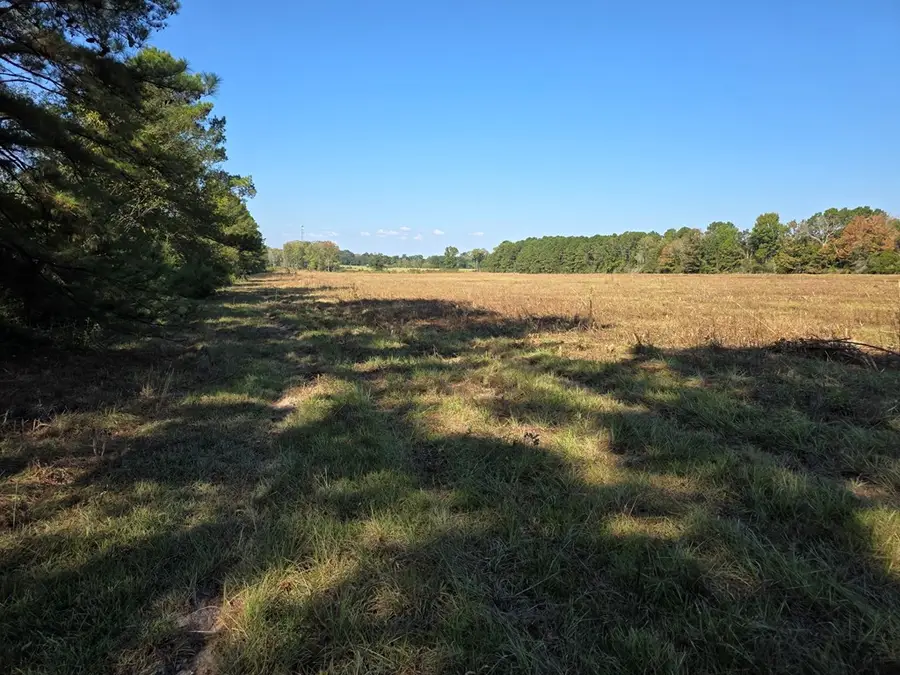 28.795 AC County Road 108 N, Jasper, TX 75951 - Image #3