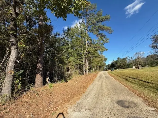 AB20 E Issacs T County Road 355, Jasper, TX 75951 - Image #3