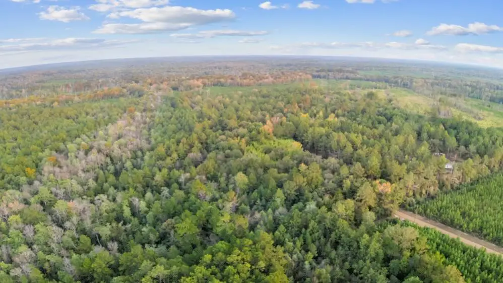 1090 Cr 2133, Burkeville, TX 75932 - Image #1