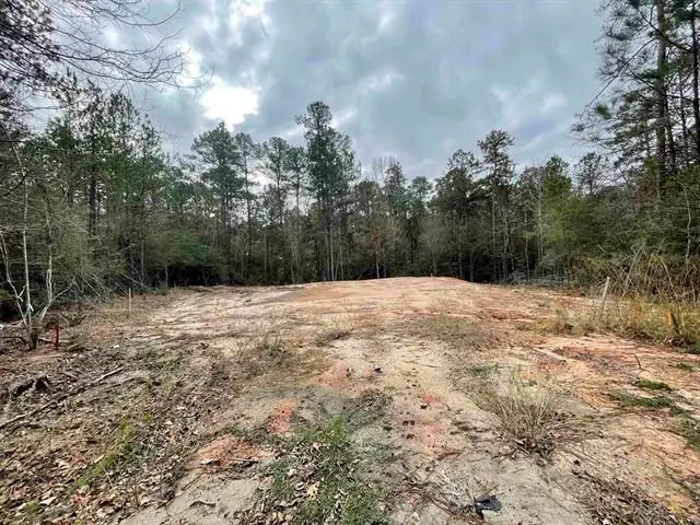 145 Aztec Lane, Brookeland, TX 75931 - Image #2