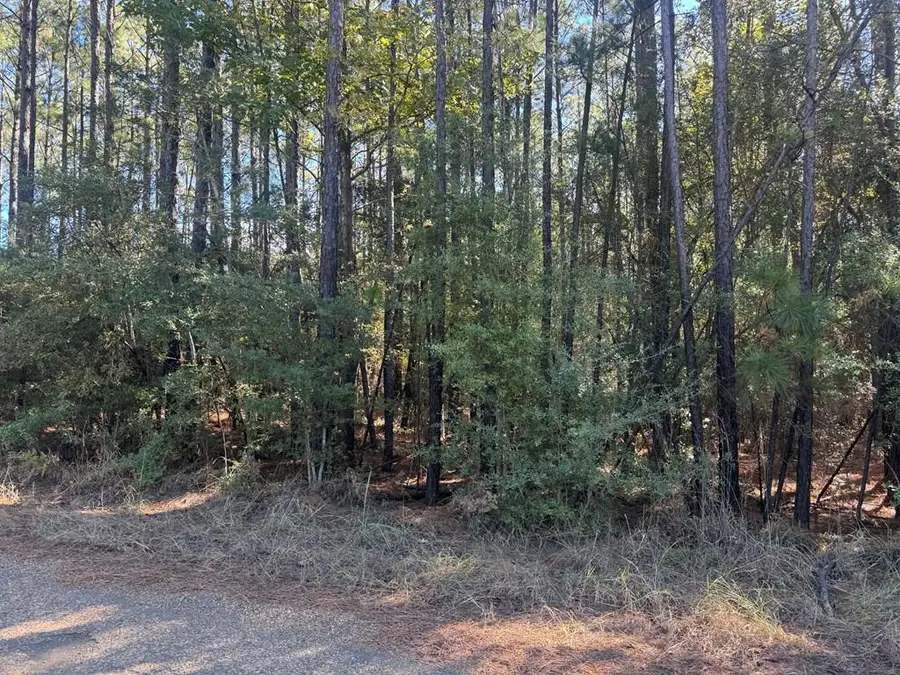 095 Pr 6026, Brookeland, TX 75931 - Image #2