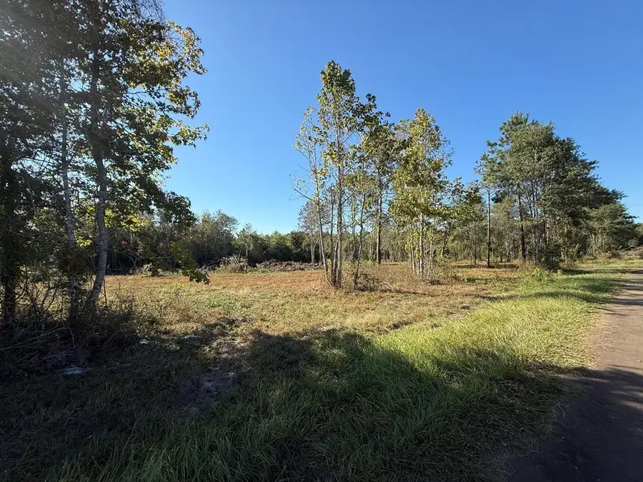 TBD Fm 1004 E, Call, TX 75933 - Image #2