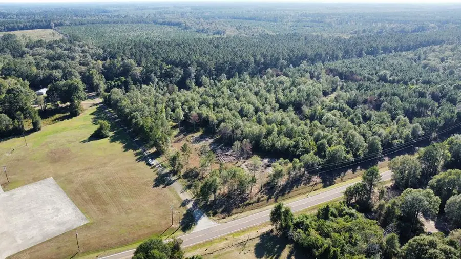 TBD Fm 1004 E, Call, TX 75933 - Image #3