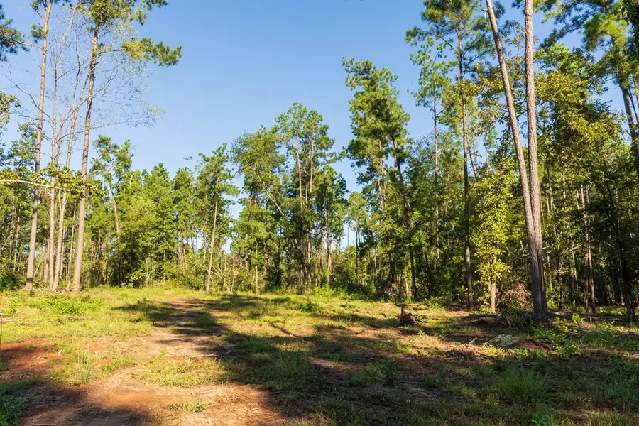 24398 Lot 17 Fm 3173, Broaddus, TX 75929 - Image #3