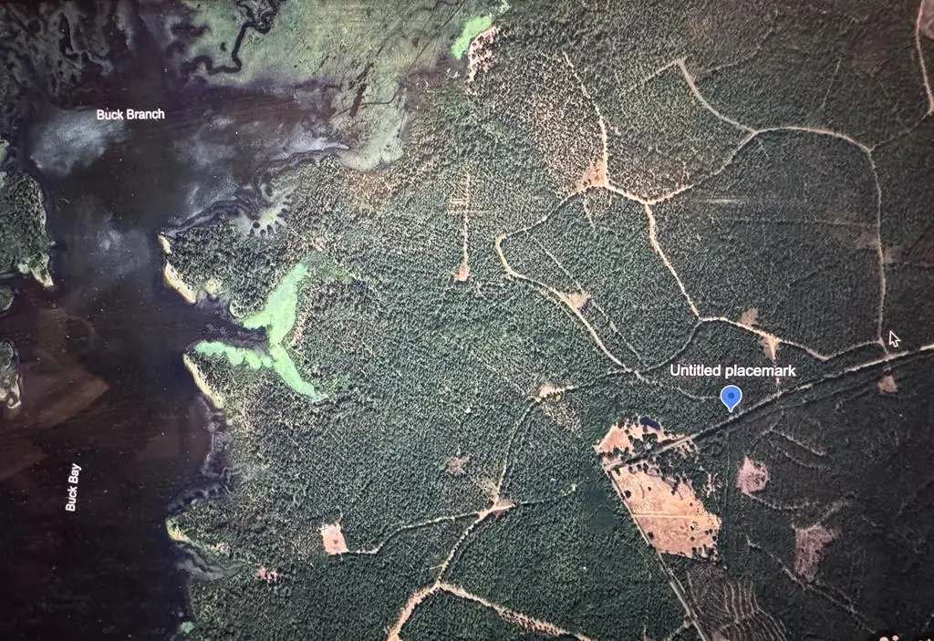 090 County Divide Road, Pineland, TX 75968 - Image #1