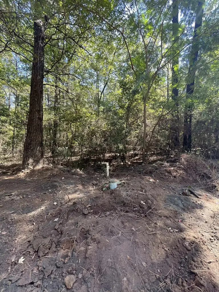 R000065761 Telephone Road, Milam, TX 75959 - Image #2