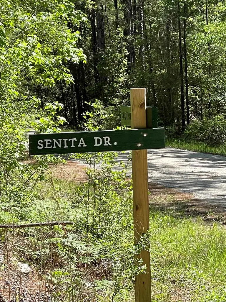 237 Senita Dr, Brookeland, TX 75931 - Image #3