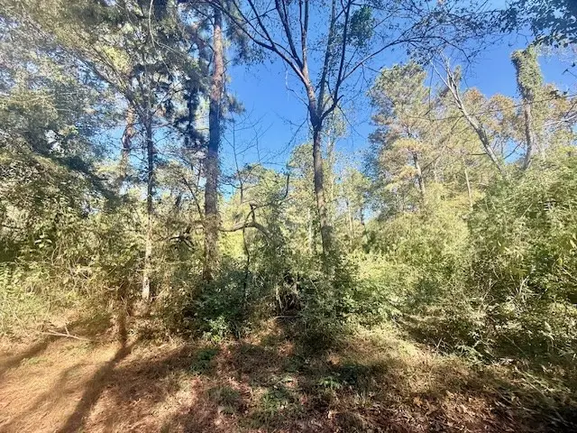 14494 County Road 87, Jasper, TX 75951 - Image #3