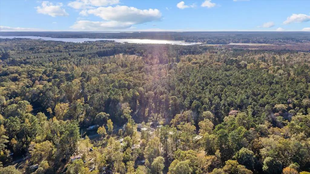 171 County Road 421, Bronson, TX 75930 - Image #1