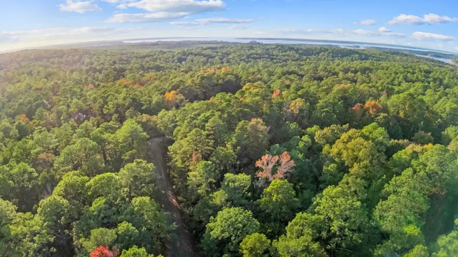 88 Deodar Dr, Brookeland, TX 75931 - Image #3