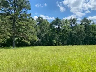 3210 Fm 3065, Colmesneil, TX 75938 - Image #3