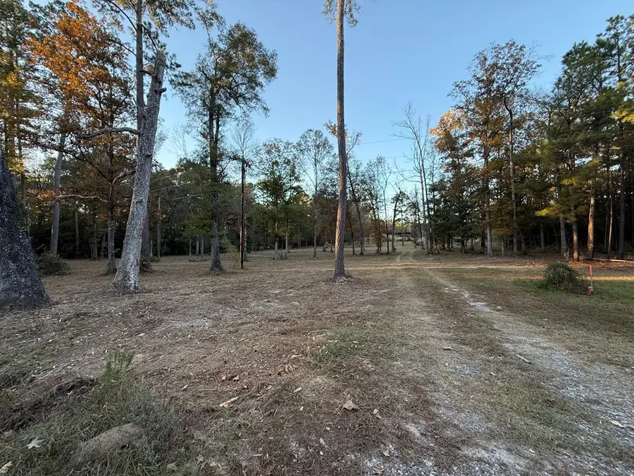 395 Hwy 63, Burkeville, TX 75932 - Image #3