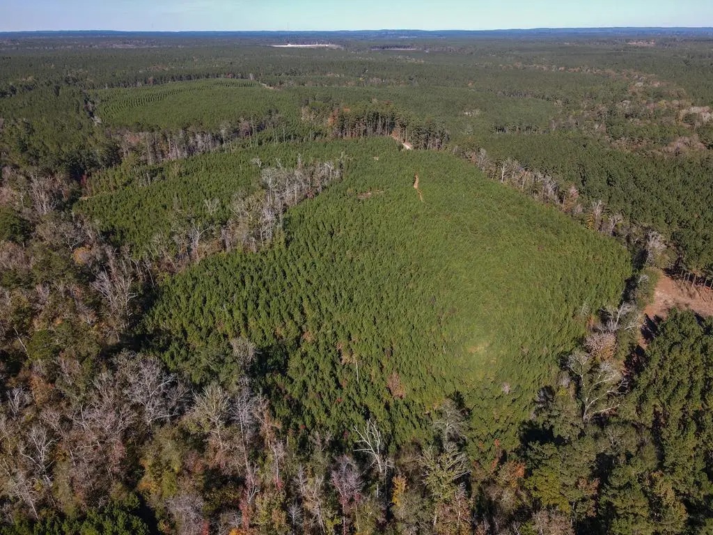 TBD County Road 4305, Bronson, TX 75930 - Image #1