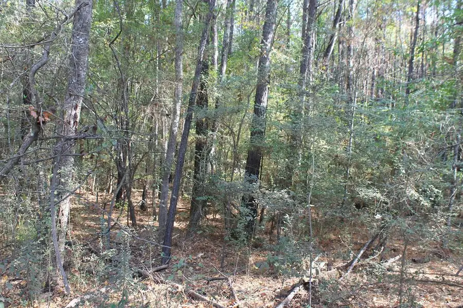 L65271 Noble Drive, Milam, TX 75959 - Image #2