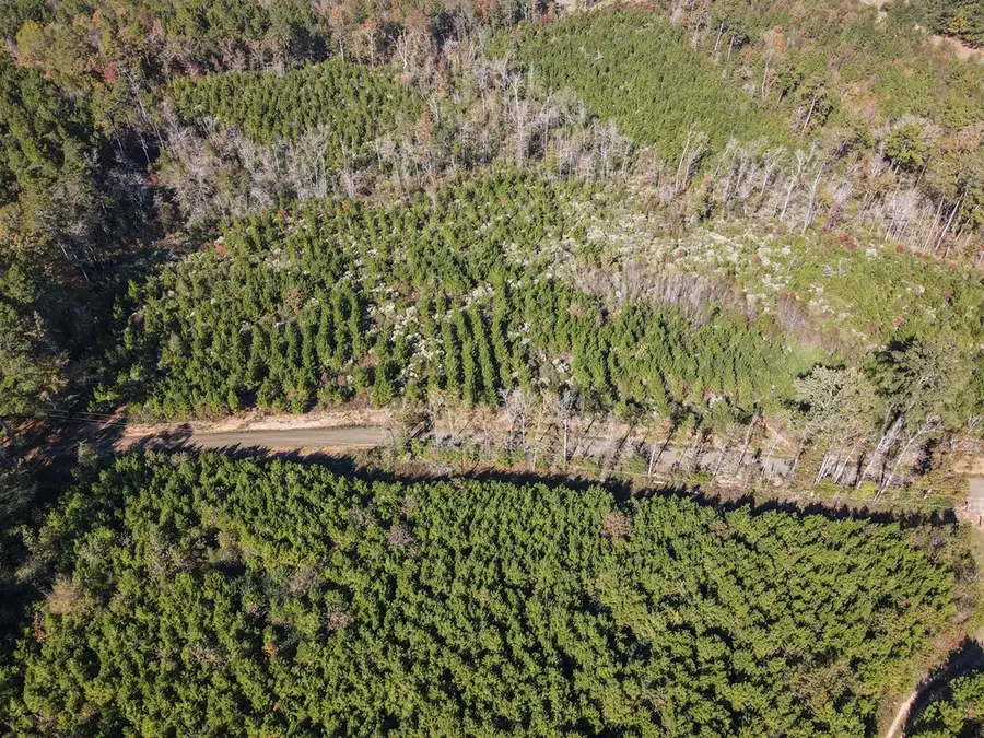 TBD County Road 412, Bronson, TX 75972 - Image #3