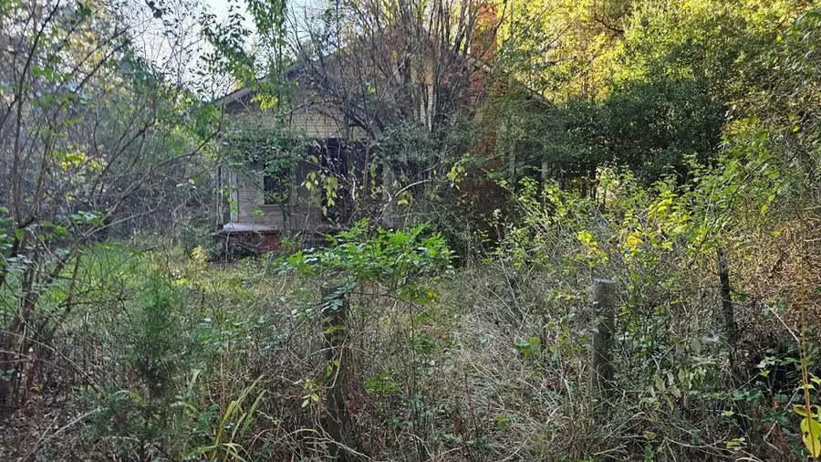 19400 County Road 3233, Cushing, TX 75760 - Image #2