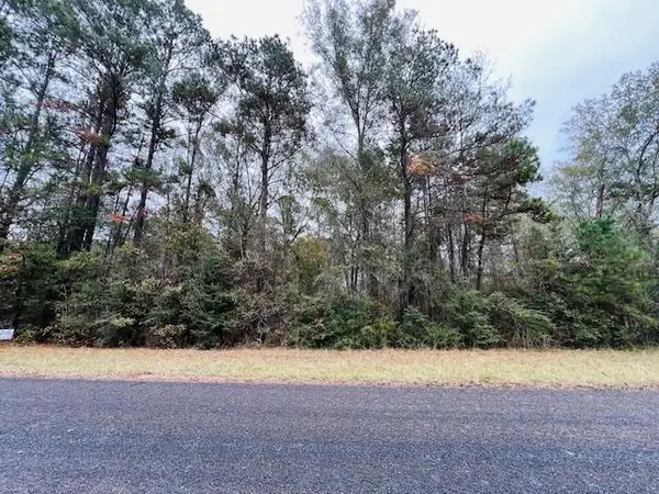 328 Mcelroy Switch, Pineland, TX 75968