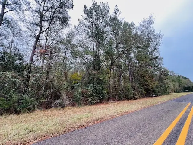 328 Mcelroy Switch, Pineland, TX 75968 - Image #3