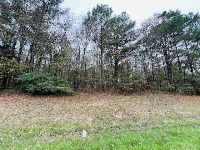 3308 U.s. Highway 96 South, Pineland, TX 75968 - Image #3