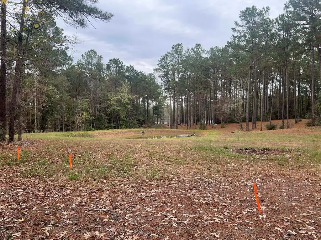 768 County Road 219, Brookeland, TX 75931 - #1