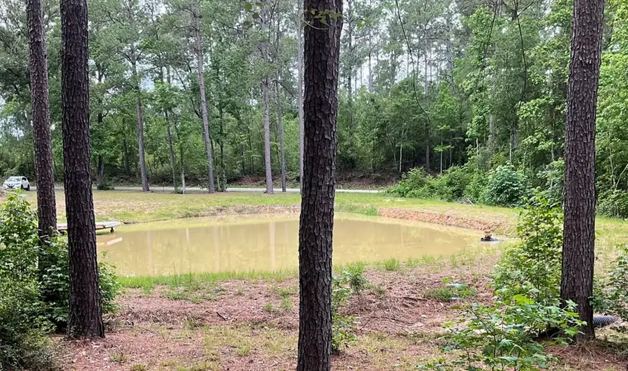 768 County Road 219, Brookeland, TX 75931 - #2