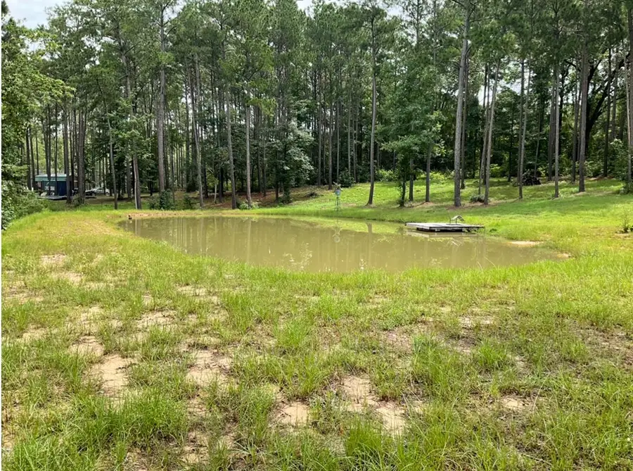 768 County Road 219, Brookeland, TX 75931 - #3
