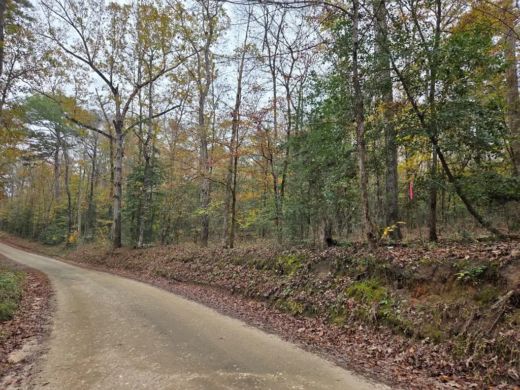 R22961 County Road 3150, Colmesneil, TX 75938 - Image #1