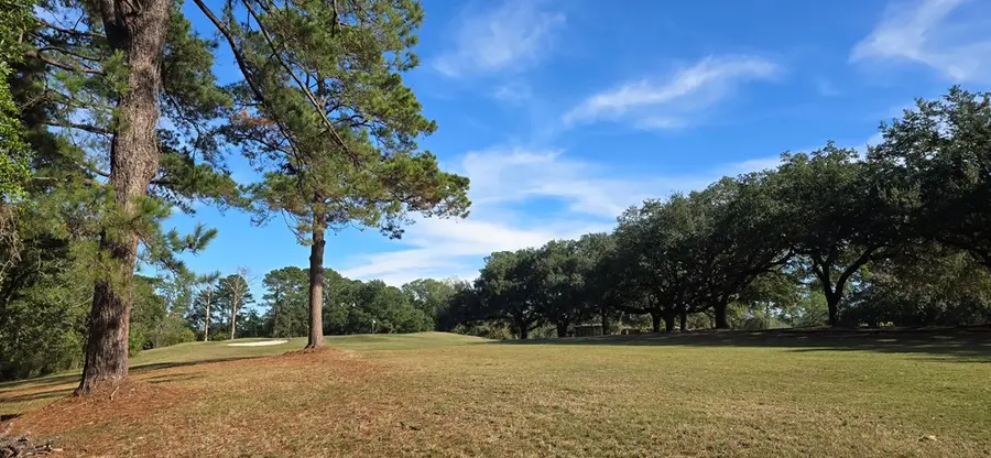 155 Sweetbriar Court, Brookeland, TX 75931 - Image #2