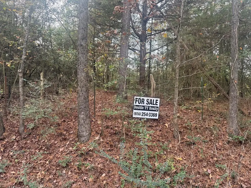 TBD County Road 4789, Timpson, TX 75975 - Image #1